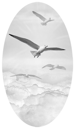 DNSBLUF 101 WT Journey Home Clouds White